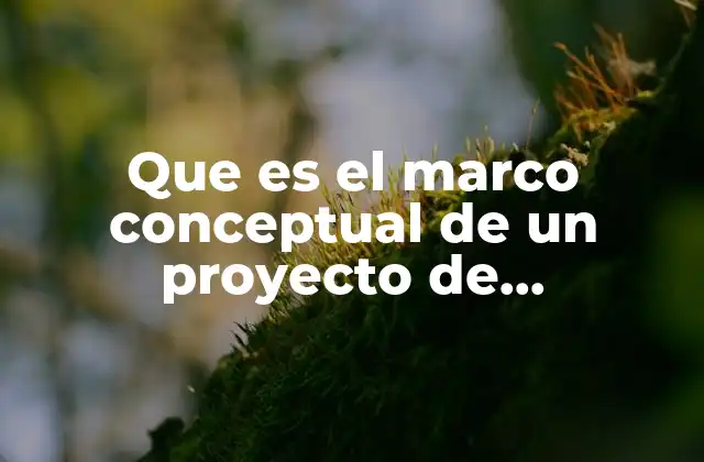 Que es el Marco Conceptual de un Proyecto de Investigacion