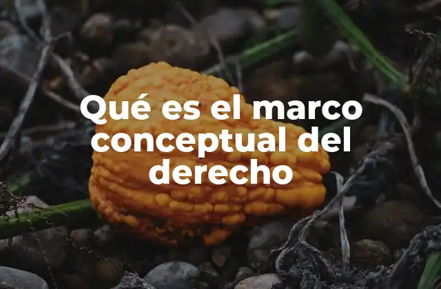 Qué es el Marco Conceptual Del Derecho