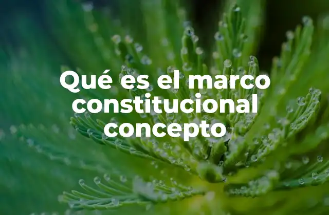 Qué es el Marco Constitucional Concepto