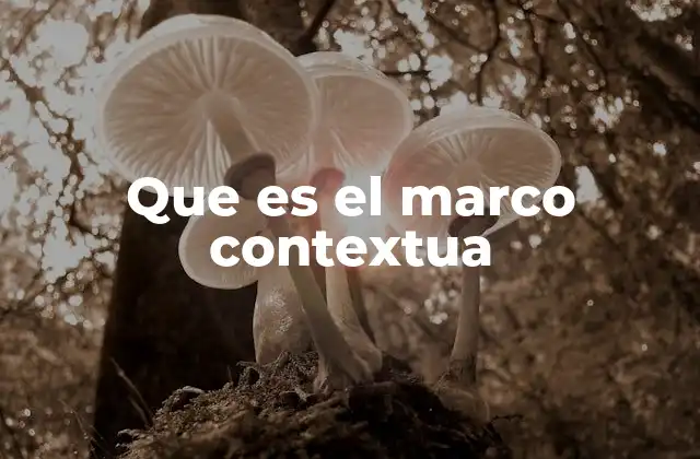 Que es el Marco Contextua 2 El entorno que define una situación