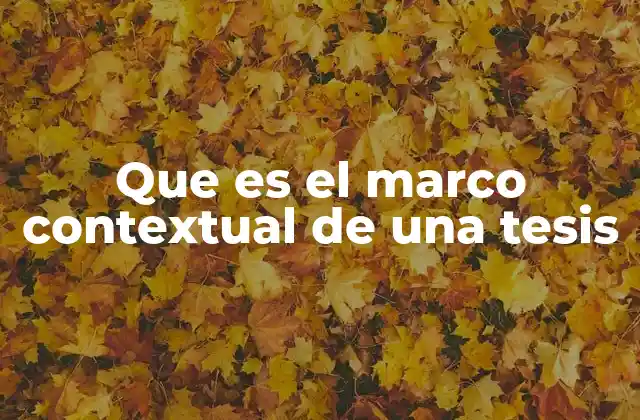 Que es el Marco Contextual de una Tesis