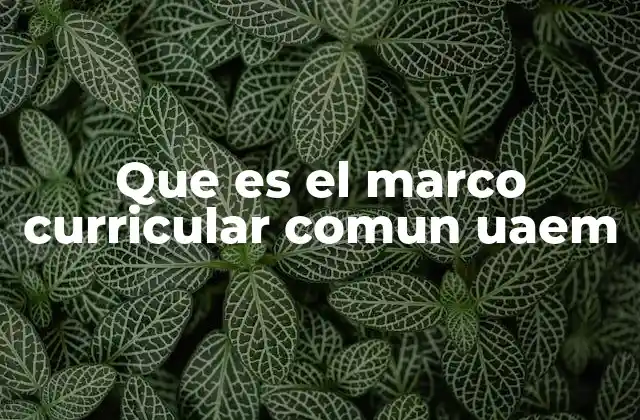 Que es el Marco Curricular Comun Uaem