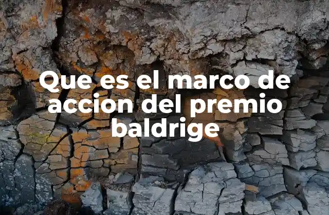 Que es el Marco de Accion Del Premio Baldrige