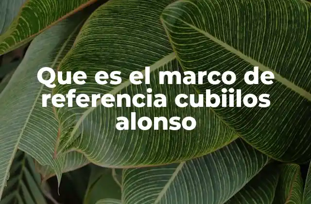 Que es el Marco de Referencia Cubiilos Alonso
