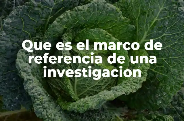 Que es el Marco de Referencia de una Investigacion