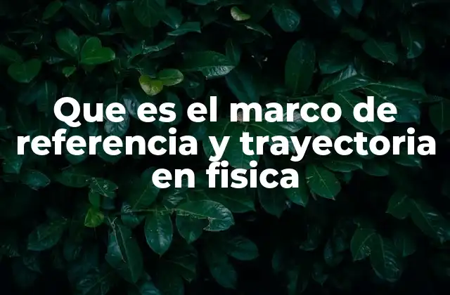 Que es el Marco de Referencia y Trayectoria en Fisica
