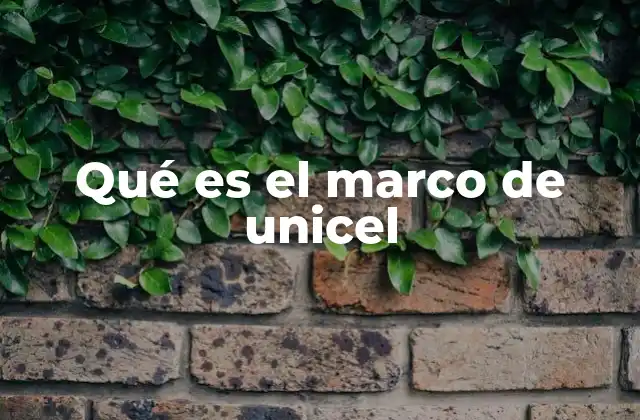 Qué es el Marco de Unicel