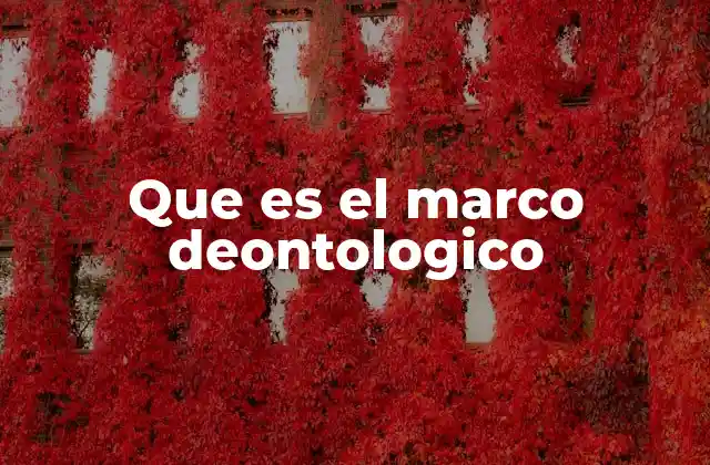 Que es el Marco Deontologico