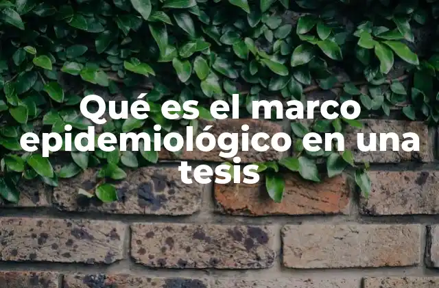Qué es el Marco Epidemiológico en una Tesis