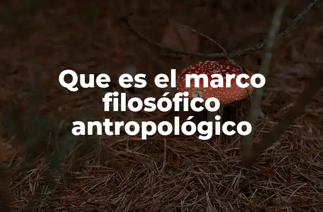 Que es el Marco Filosófico Antropológico