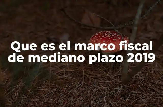 Que es el Marco Fiscal de Mediano Plazo 2019