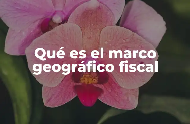 Qué es el Marco Geográfico Fiscal
