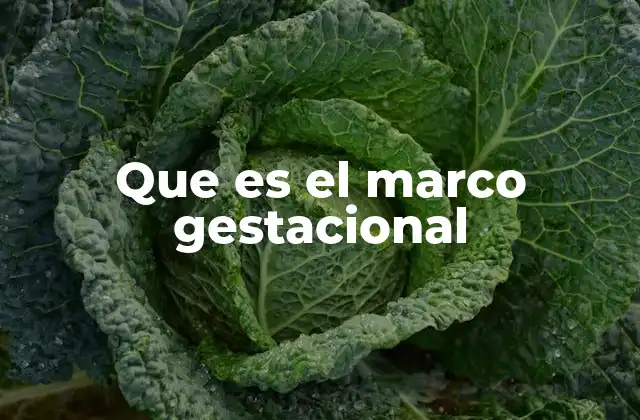 Que es el Marco Gestacional