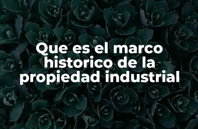 Que es el Marco Historico de la Propiedad Industrial 2 El origen de los sistemas de protección de la propiedad industrial