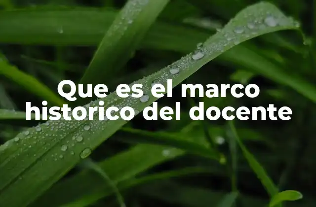 Que es el Marco Historico Del Docente