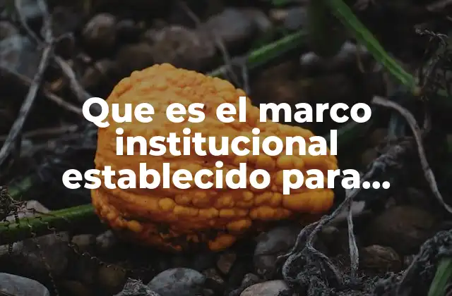Que es el Marco Institucional Establecido para Efectuar Pagos Internacionales