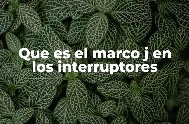 Que es el Marco J en los Interruptores