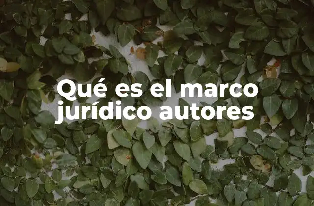 Qué es el Marco Jurídico Autores