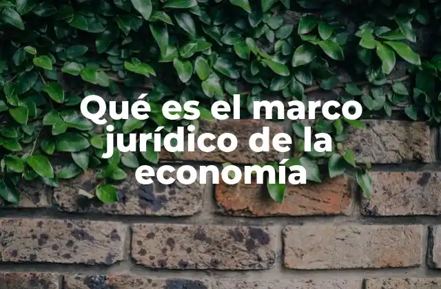 Qué es el Marco Jurídico de la Economía