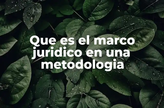 Que es el Marco Juridico en una Metodologia