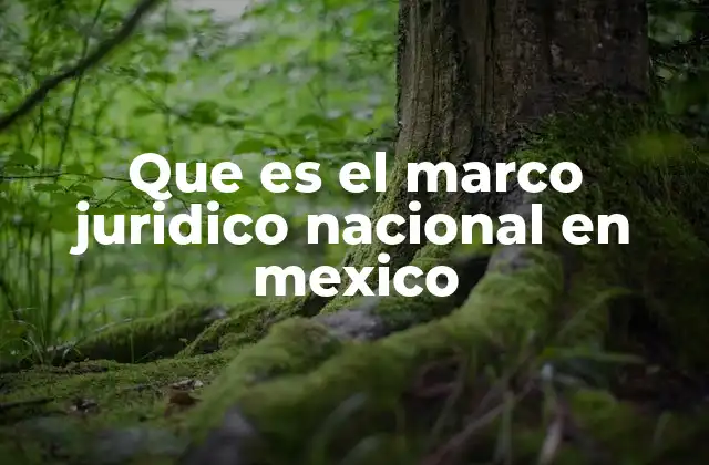Que es el Marco Juridico Nacional en Mexico 2 El sistema legal mexicano y su importancia en la organización del Estado