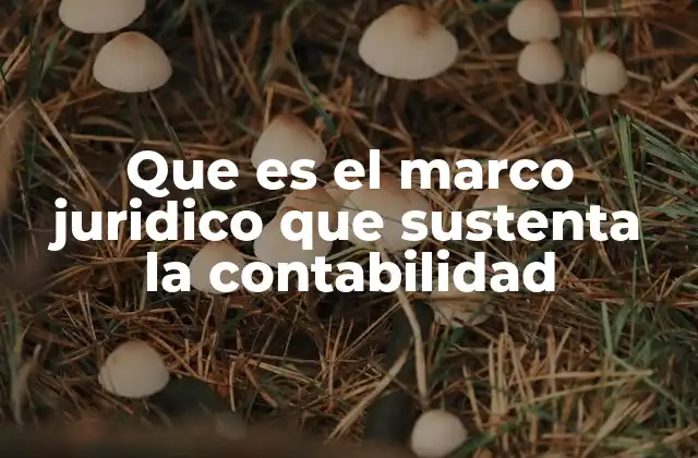 Que es el Marco Juridico que Sustenta la Contabilidad