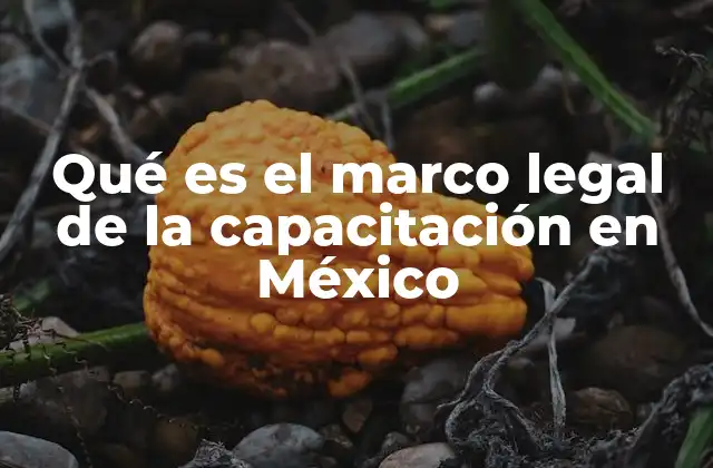 Qué es el Marco Legal de la Capacitación en México