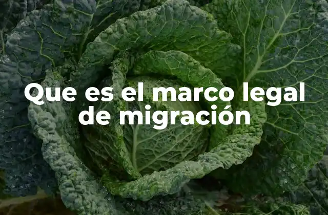 Que es el Marco Legal de Migración
