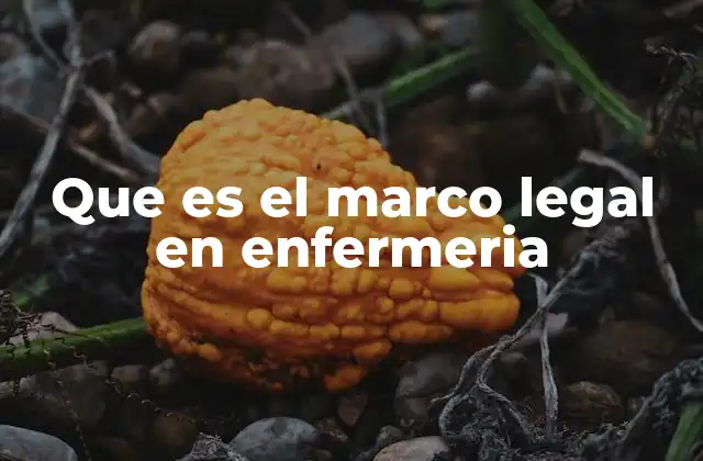 Que es el Marco Legal en Enfermeria