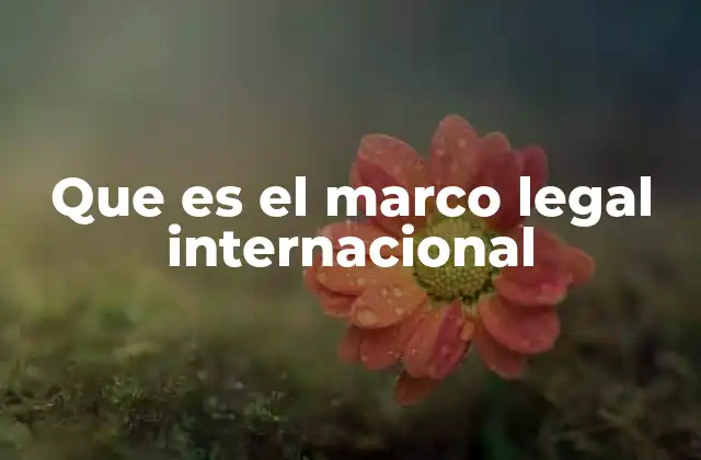 Que es el Marco Legal Internacional