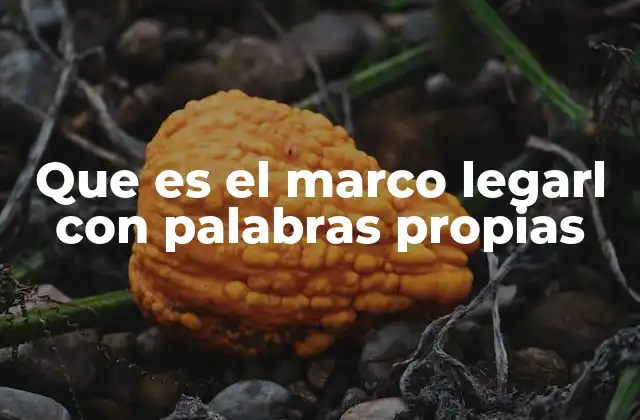 Que es el Marco Legarl con Palabras Propias