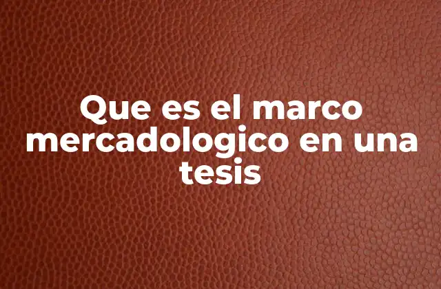 Que es el Marco Mercadologico en una Tesis