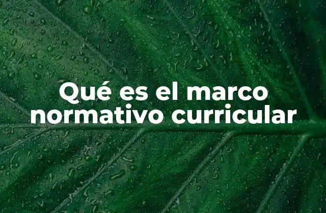 Qué es el Marco Normativo Curricular
