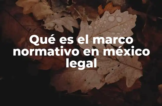Qué es el Marco Normativo en México Legal