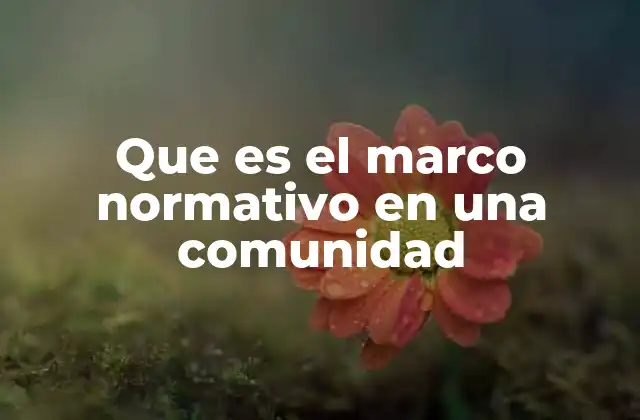 Que es el Marco Normativo en una Comunidad