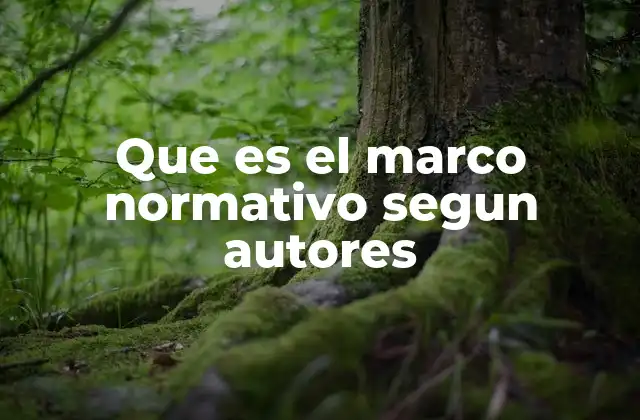 Que es el Marco Normativo Segun Autores