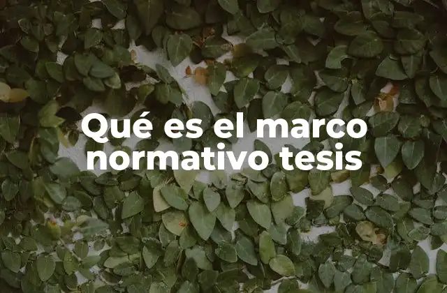 Qué es el Marco Normativo Tesis