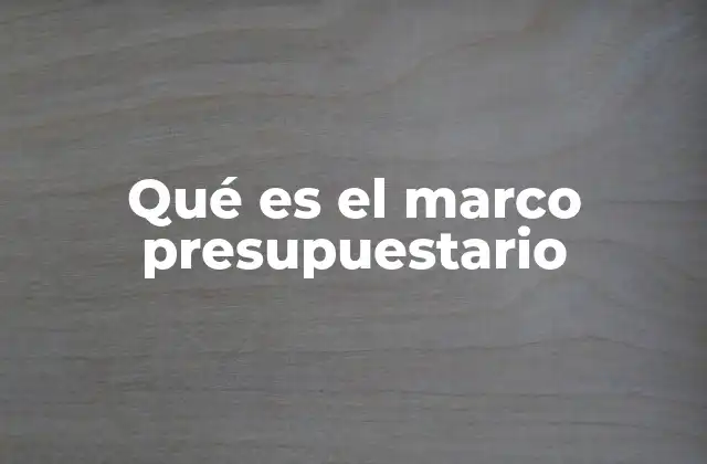 Qué es el Marco Presupuestario