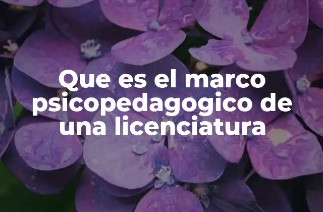 Que es el Marco Psicopedagogico de una Licenciatura