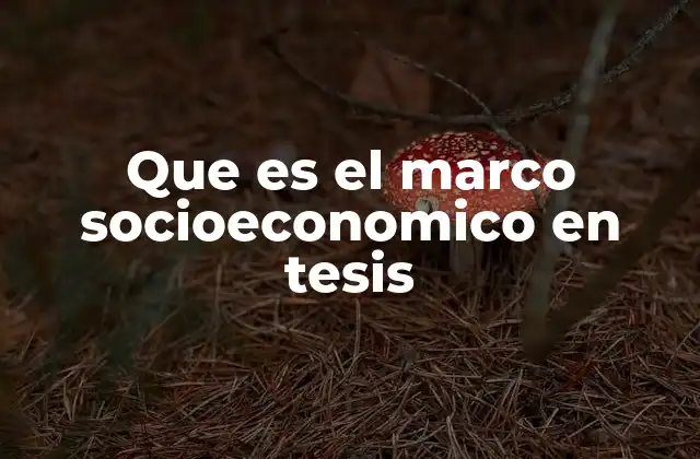 Que es el Marco Socioeconomico en Tesis