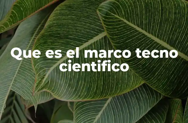 Que es el Marco Tecno Cientifico
