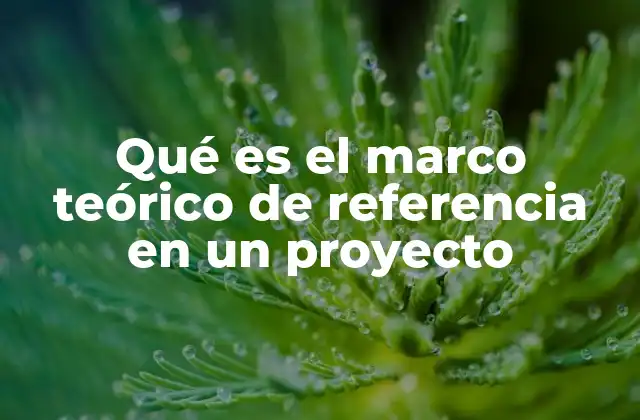 Qué es el Marco Teórico de Referencia en un Proyecto