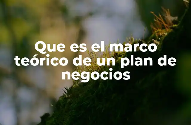 Que es el Marco Teórico de un Plan de Negocios