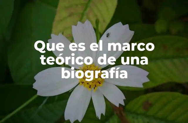 Que es el Marco Teórico de una Biografía