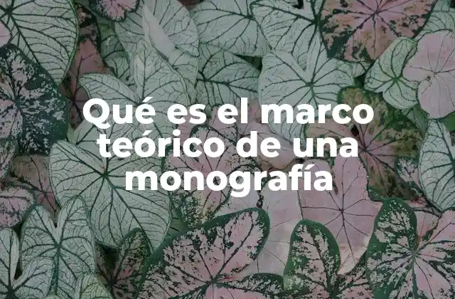 Qué es el Marco Teórico de una Monografía