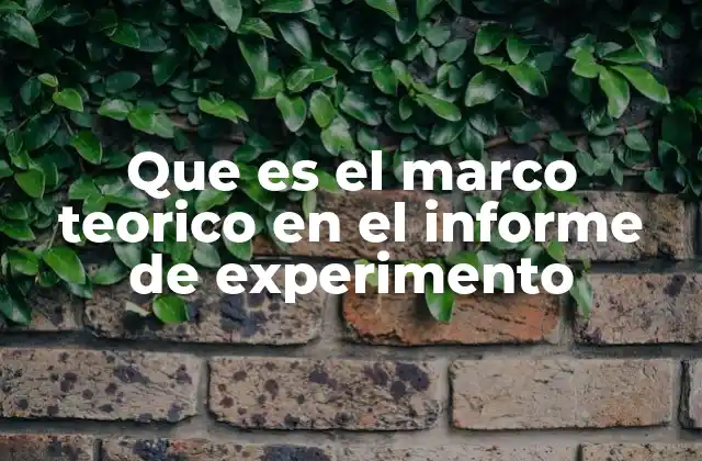 Que es el Marco Teorico en el Informe de Experimento