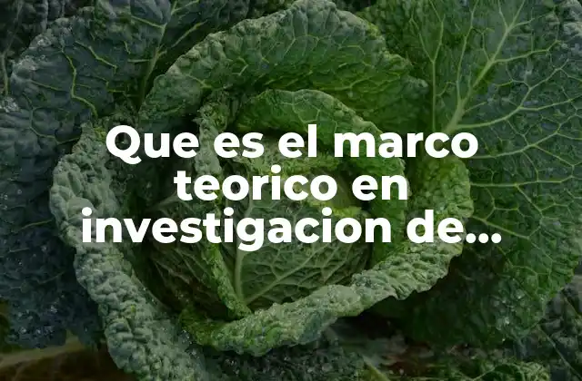 Que es el Marco Teorico en Investigacion de Humanidades