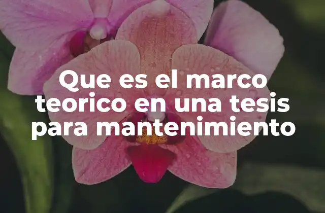 Que es el Marco Teorico en una Tesis para Mantenimiento