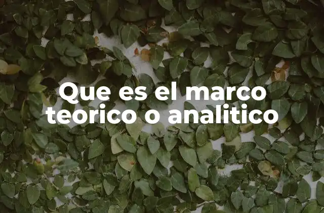 Que es el Marco Teorico o Analitico