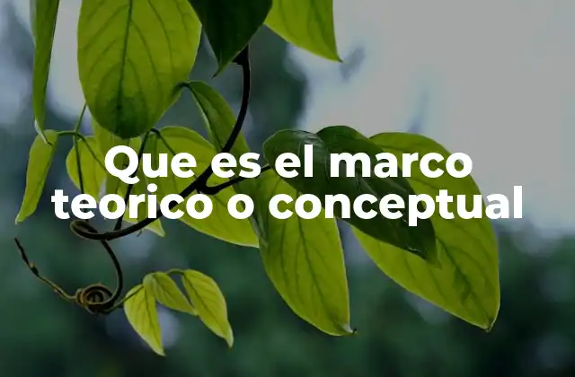 Que es el Marco Teorico o Conceptual